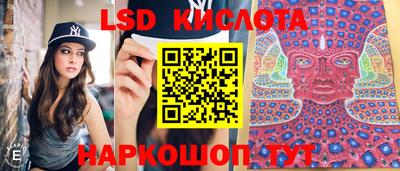 гидра Славгород