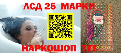 гидра Славгород