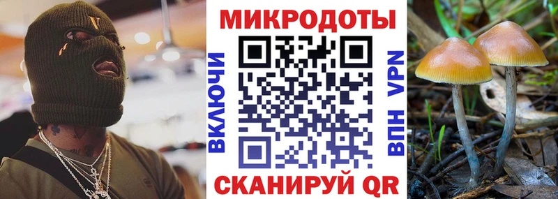 как найти закладки  Сатка  блэк спрут tor  Галлюциногенные грибы Psilocybine cubensis 