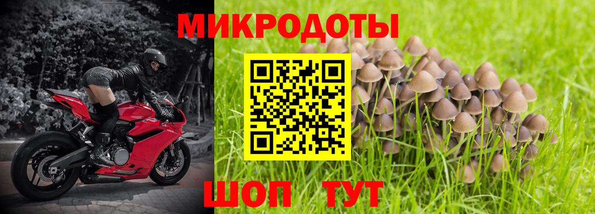 где купить наркоту  Вход с VPN  Сатка  Галлюциногенные грибы Psilocybine cubensis 